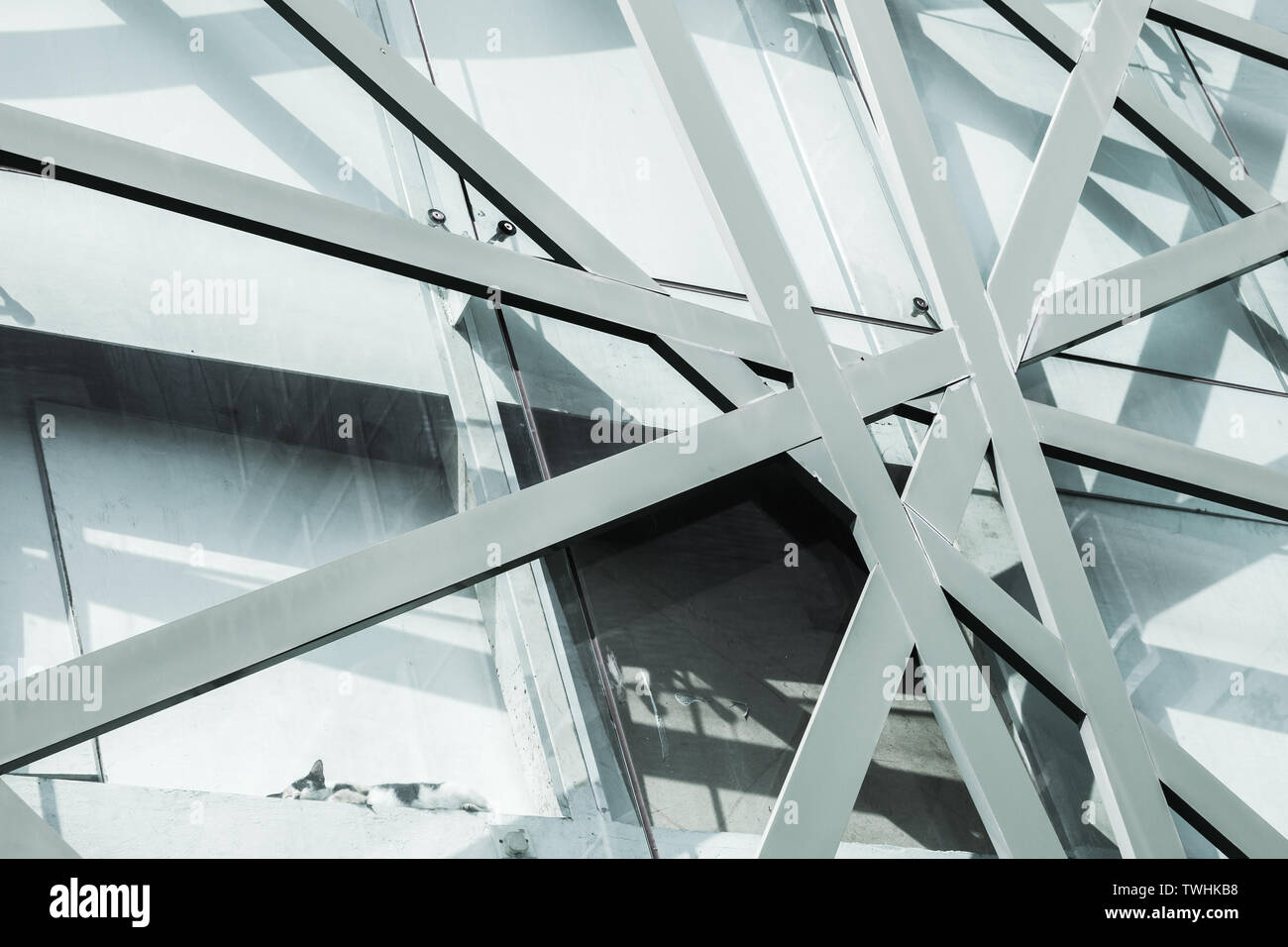 Résumé L'architecture commerciale, l'arrière-plan la façade de l'immeuble de bureau avec structure en acier et motif géométrique des panneaux de verre. Chat dort sur le mur. Blue Banque D'Images