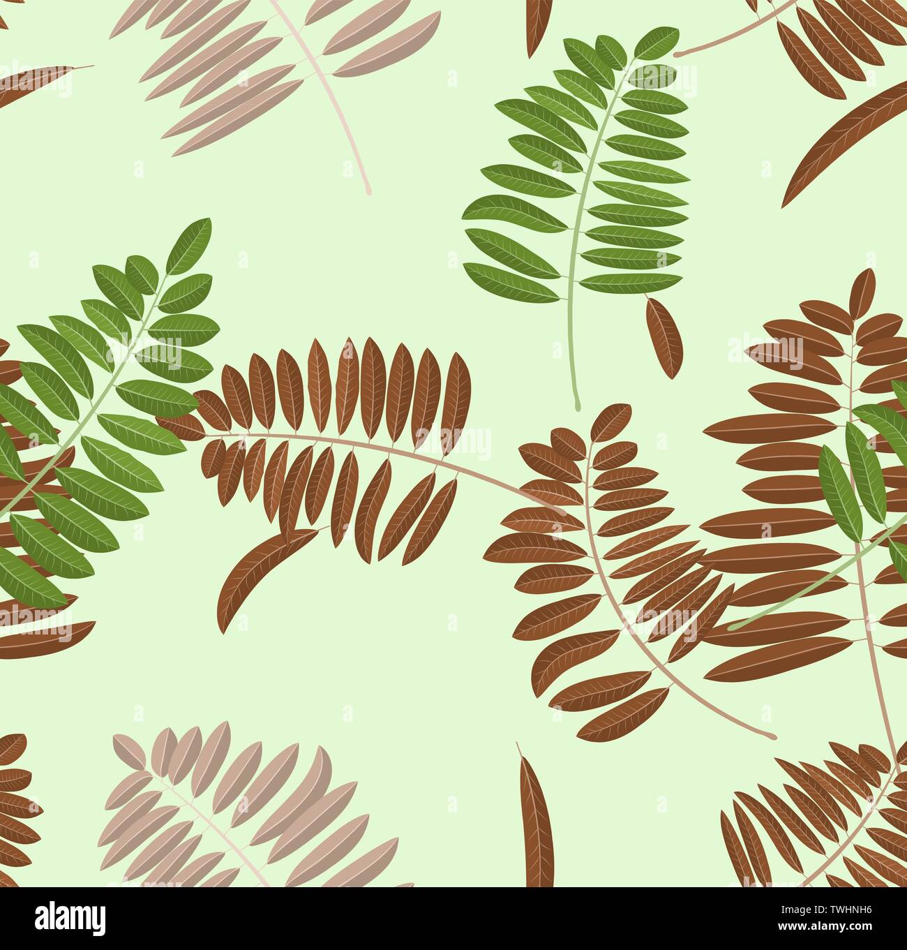 Automne feuilles acacia modèle homogène. Fond vert clair pastel et banc avec green, broun et feuilles jaunes pour wallpapers Illustration de Vecteur