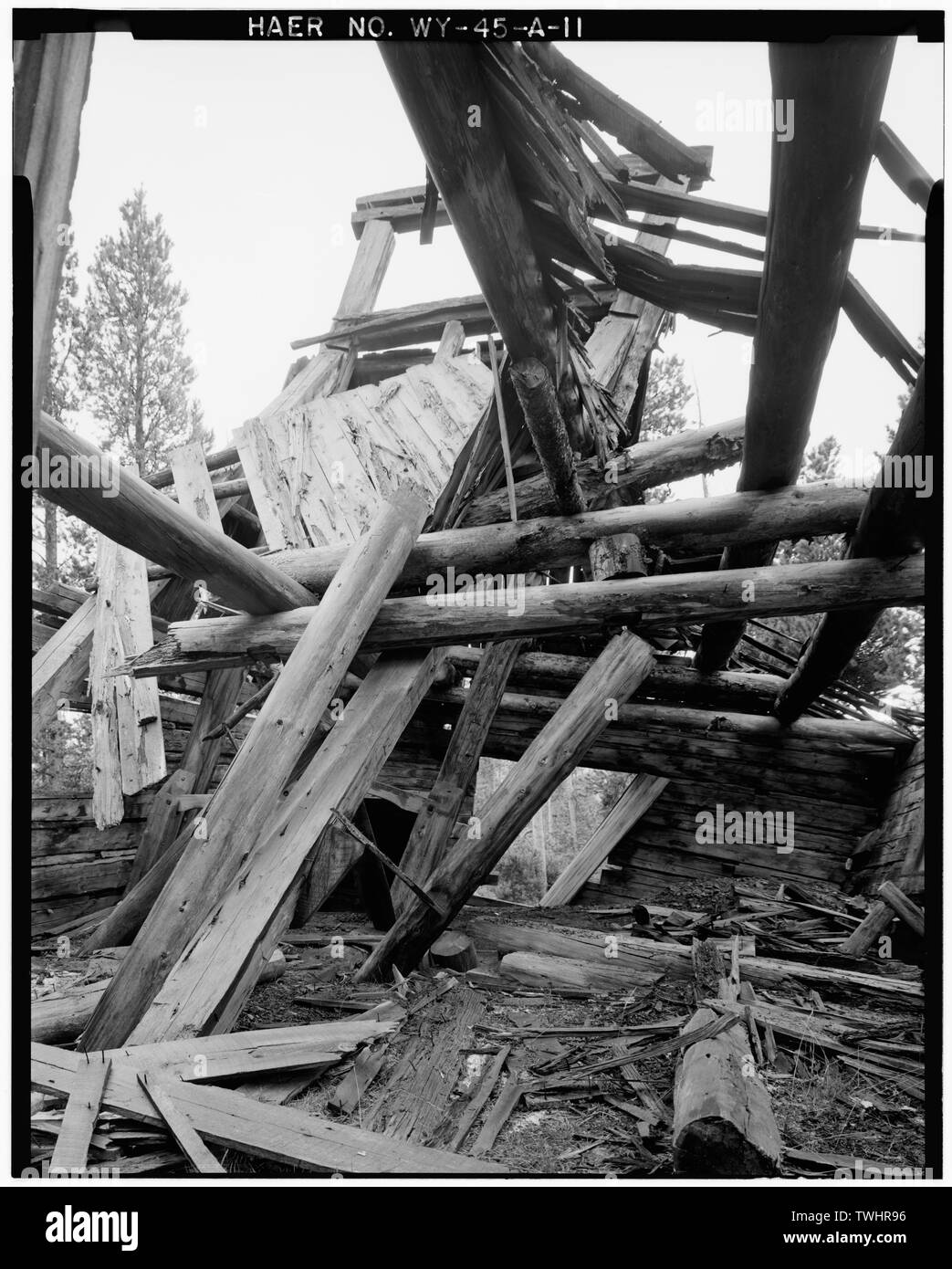 Maison de l'arbre, de l'intérieur- s'est effondré et la détérioration des toits et de soutien ; les journaux de CHEVALEMENT VUE VERS LE SUD. - Joker Mine, Shafthouse, Medicine Bow National Forest, au nord-ouest de Keystone, Keystone, comté d'Albany, WY, Société minière Oneida Banque D'Images