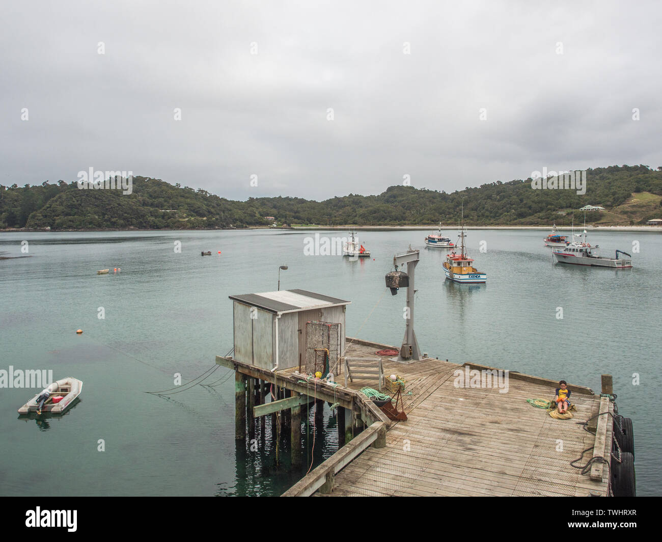 Garçon assis avec quai et les bateaux de pêche ancrés, Horseshoe Bay , Rakiura Stewart Island, New Zealand Banque D'Images