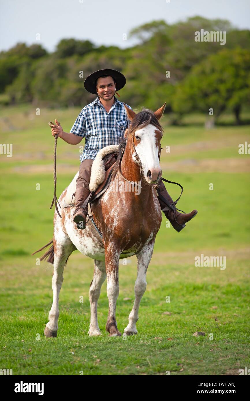 Gaucho sur un cheval Criollo, Guardia del Monte, la Laguna de Castillos, Province de Rocha, Uruguay Banque D'Images