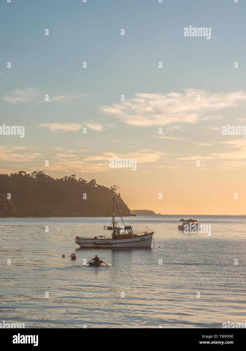 Tôt le matin, la lumière reflétée par une mer calme, un homme d'un canot à rames vers un yacht amarré, Halfmoon Bay, Rakiura Stewart Island, New Zealand Banque D'Images