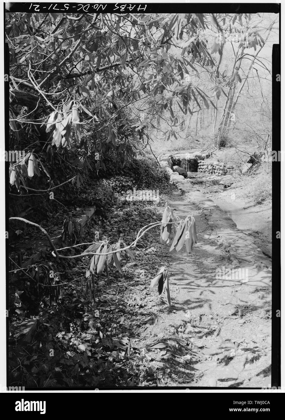 SITE DE STREAM ARBOR, À AU NORD-OUEST D'ARBOR FALLS 1988 - Parc de Dumbarton Oaks, trente-deuxième et R Rue Northwest, Washington, District of Columbia, DC Banque D'Images