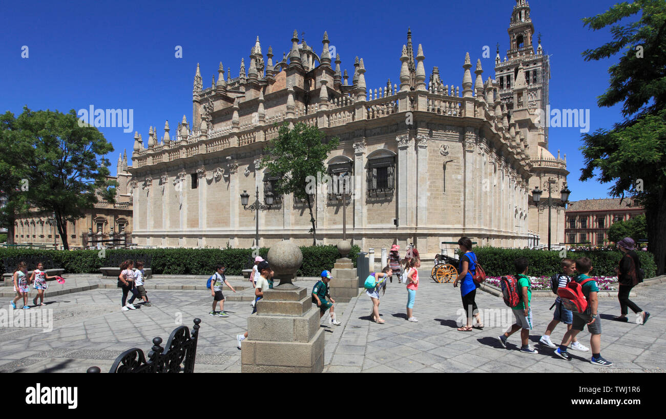 L'Espagne, Andalousie, Séville, Cathédrale, la Plaza del Triunfo, personnes, Banque D'Images