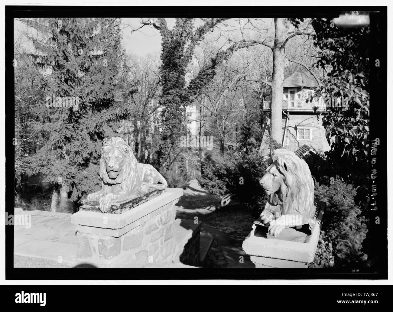 Sculpture, vue en perspective à la paire de lions de placée en haut de l'escalier menant vers le bas dans le Glen - Parc National Seminary, borné par Capitol Beltway (I-495), Linden Lane, poêle à bois Avenue, et Smith Drive, Silver Spring, dans le comté de Montgomery, MD ; U.S. Département de l'armée ; Ray, Arthur ; Cassedy, John Irving, Ament, James ; E ; Davis, Roy Tasco ; Holman, Emily Elizabeth ; Schneider, Thomas Franklin ; Rosenthal, James, l'équipe de terrain ; Prix, Virginie B, émetteur ; Ott, Cynthia, historien ; Boucher, Jack E, photographe ; Lavoie, Catherine C, gérant de projet, prix, Virginie B, émetteur ; Pri Banque D'Images