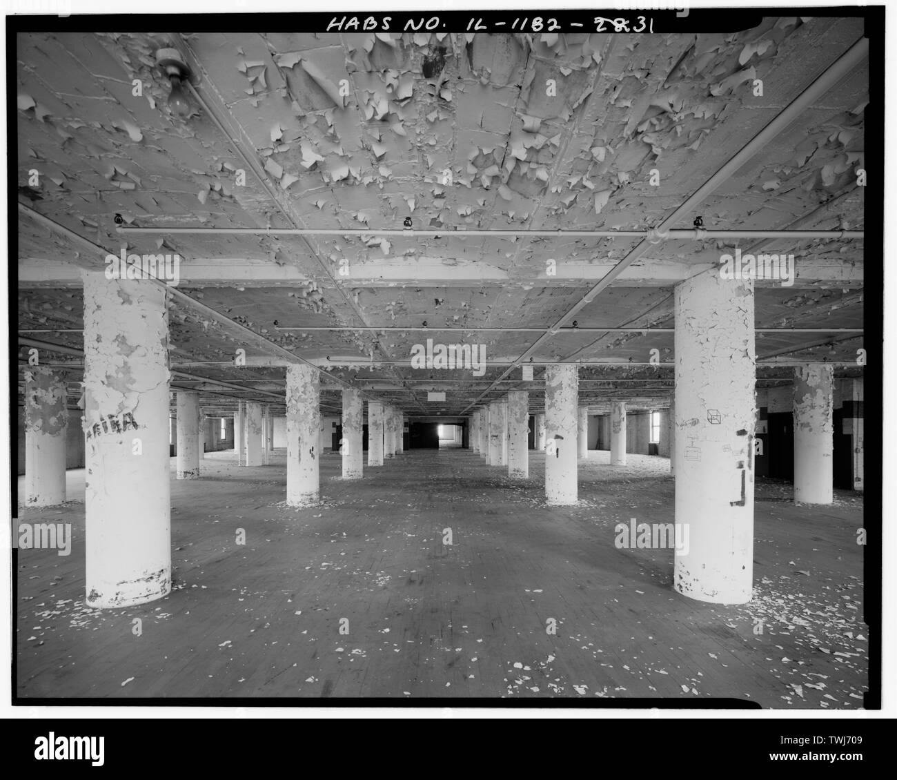 Septième étage. Vue de sud. Vue générale et de voûtes au plafond. - Marshall Field River, Entrepôt 310 Polk Street Ouest, Chicago, comté de Cook, en Illinois Banque D'Images