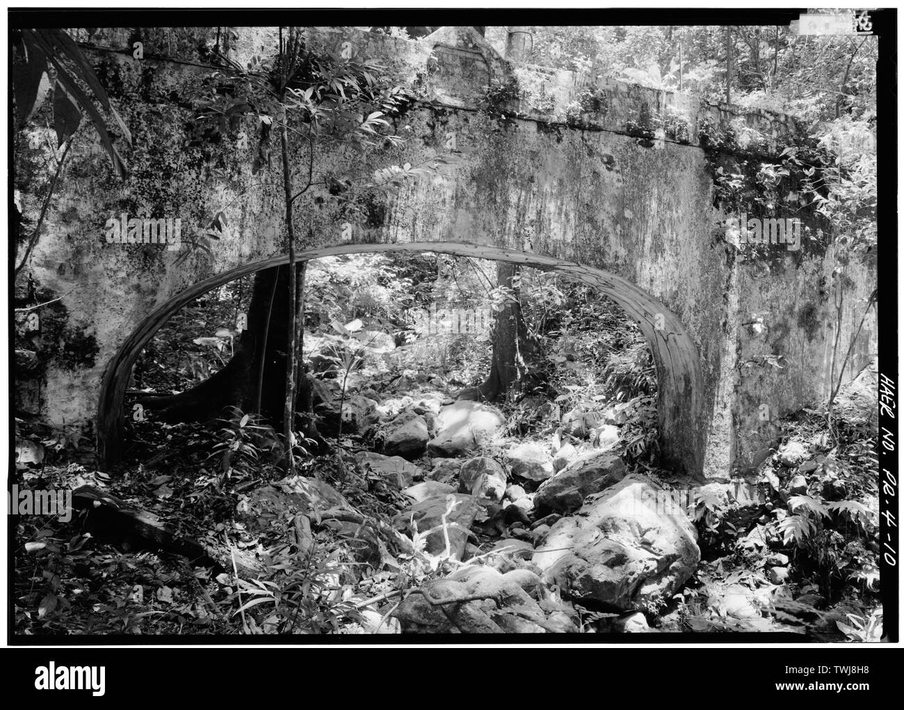 Vue latérale du pont-aqueduc. - Hacienda Buena Vista, PR LA ROUTE 10 (Ponce à Shanghai), Magueyes, Ponce Municipio, COMMUNICATION ; Vives, Salvador de ; Diaz, Maria Isabel ; Vives, Carlos Maria ; Navarro, Guillerma ; Vives-Navarro, Salvador ; Vives, Guillermo ; Vives, Carlos ; Vives Brothers Company ; Cary, Brian, émetteur ; Egbert, Charles, l'équipe de terrain ; Annéepar, Jean, émetteur ; Boucher, Jack, photographe ; Nistal-Moret, Benjamin, historien ; Sanchez, Hector, historien Banque D'Images