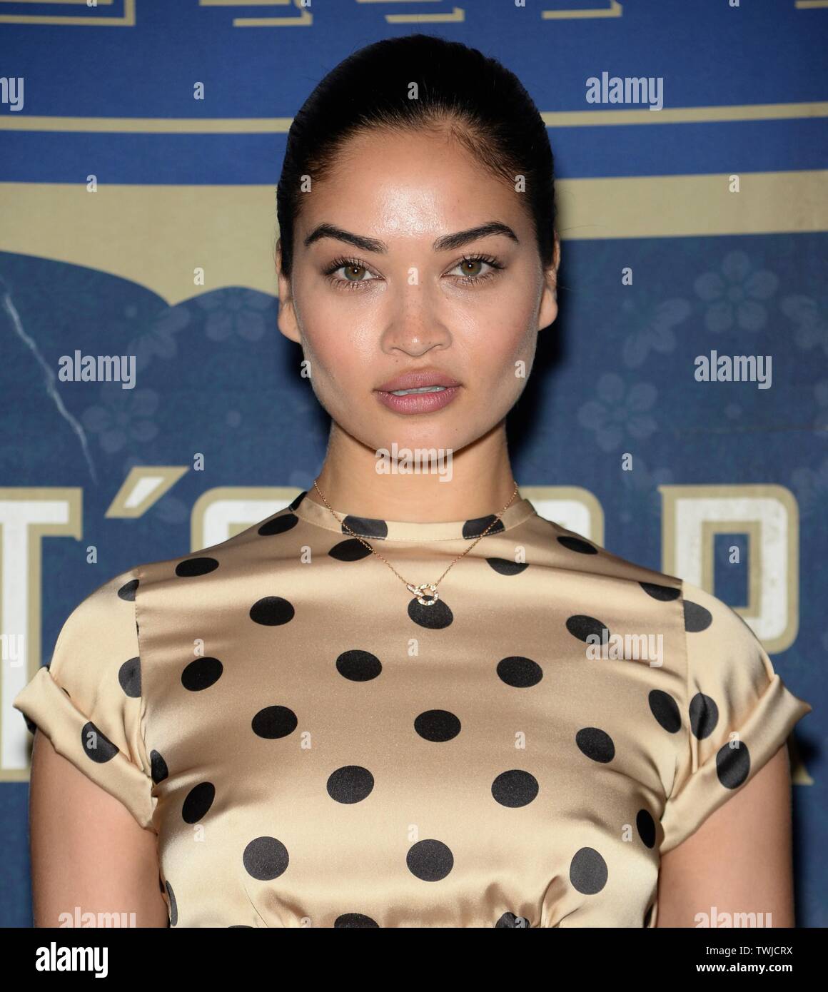 Brooklyn, NY, USA. 20 Juin, 2019. Shanina Shaik devant le hall des arrivées pour 3e MAISON ST-GERMAIN, l'entrepôt du terminal de Greenpoint, Brooklyn, NY Le 20 juin 2019. Credit : Eli Winston/Everett Collection/Alamy Live News Banque D'Images