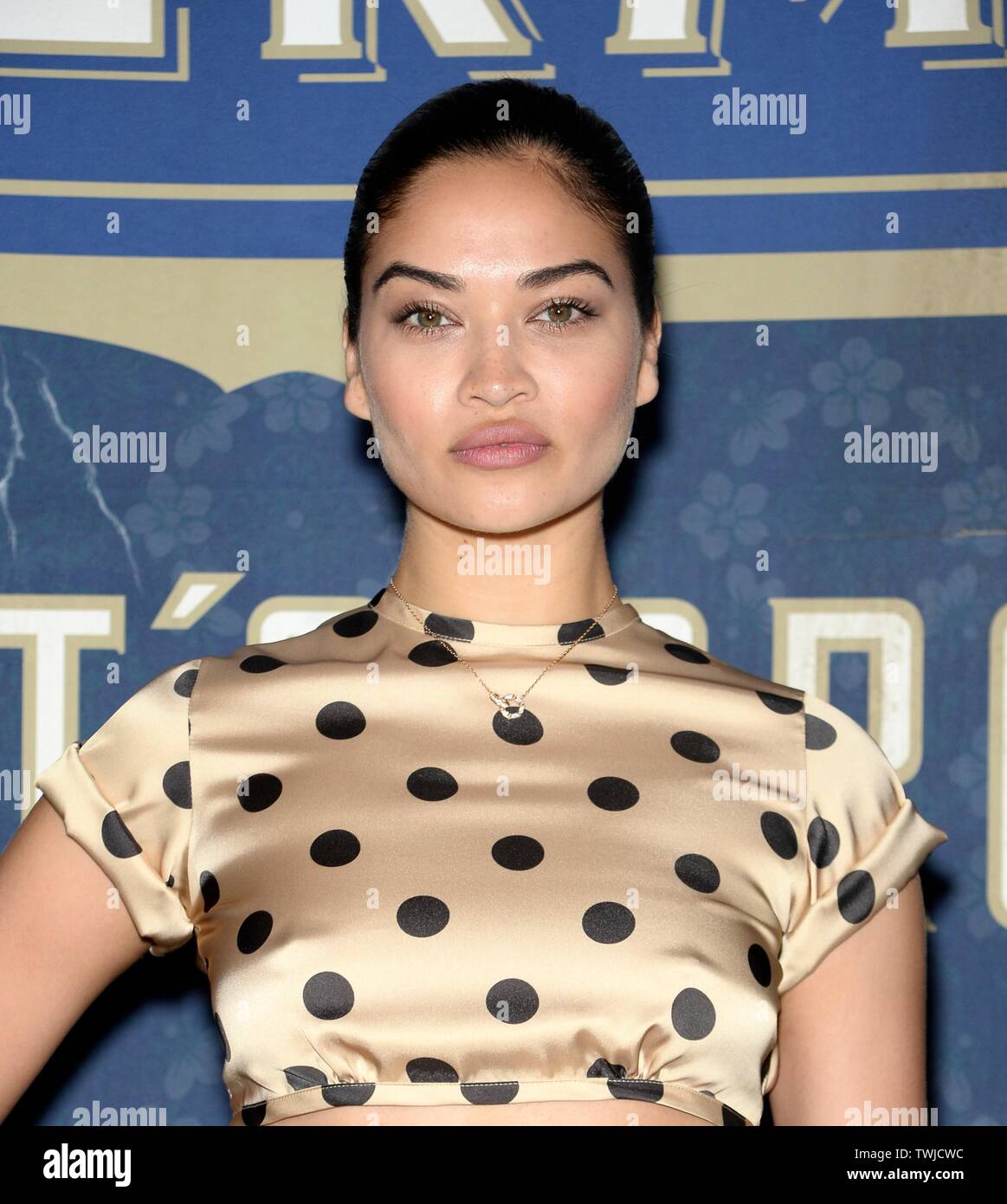 Brooklyn, NY, USA. 20 Juin, 2019. Shanina Shaik devant le hall des arrivées pour 3e MAISON ST-GERMAIN, l'entrepôt du terminal de Greenpoint, Brooklyn, NY Le 20 juin 2019. Credit : Eli Winston/Everett Collection/Alamy Live News Banque D'Images