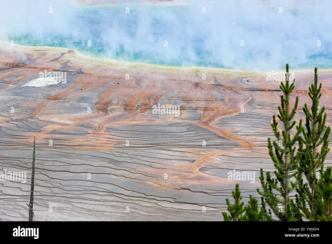 Vue sur le Grand Prismatic Spring in Yellowstone Banque D'Images