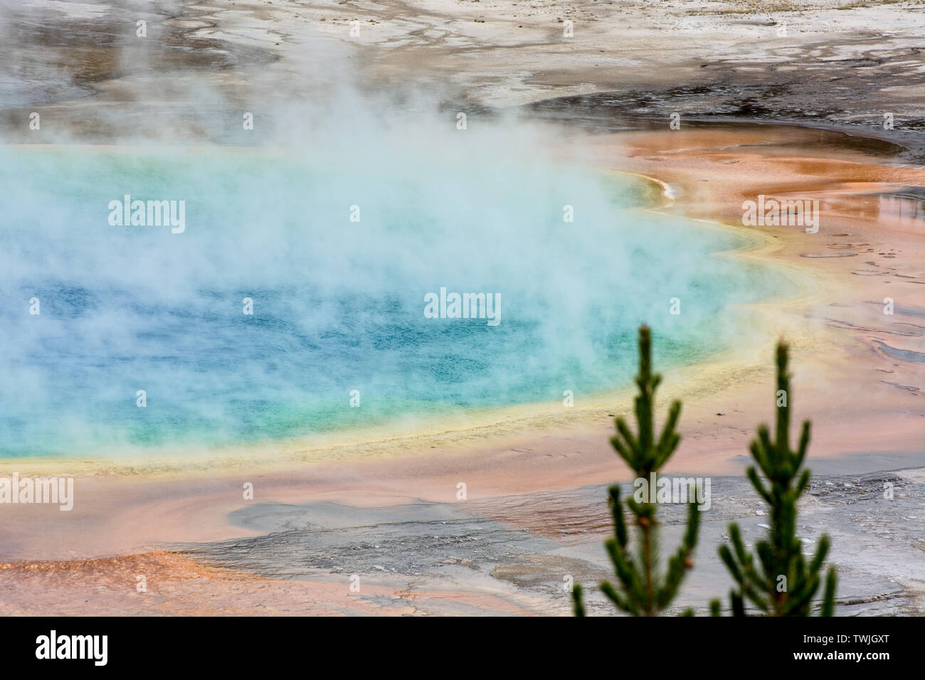 Vue sur le Grand Prismatic Spring in Yellowstone Banque D'Images