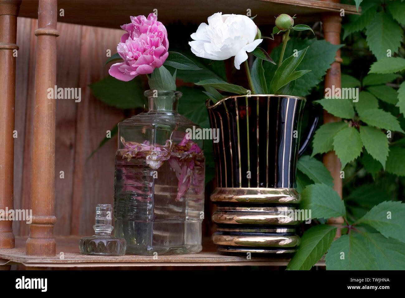Les Pivoines roses et blancs dans un vase placé sur la bibliothèque en bois en plein air, close-up Banque D'Images