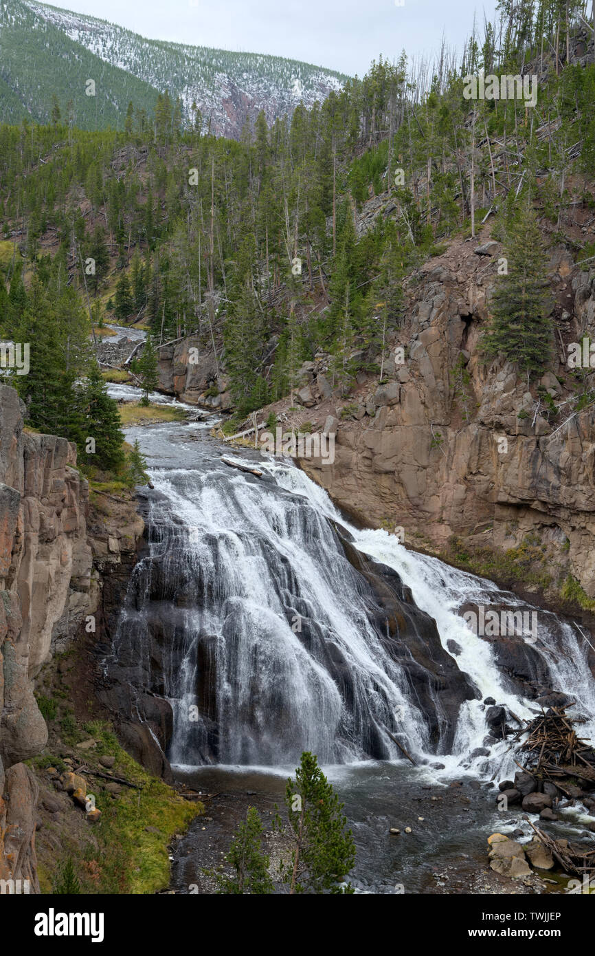 Avis de Gibbon Falls dans le Parc National de Yellowstone Banque D'Images