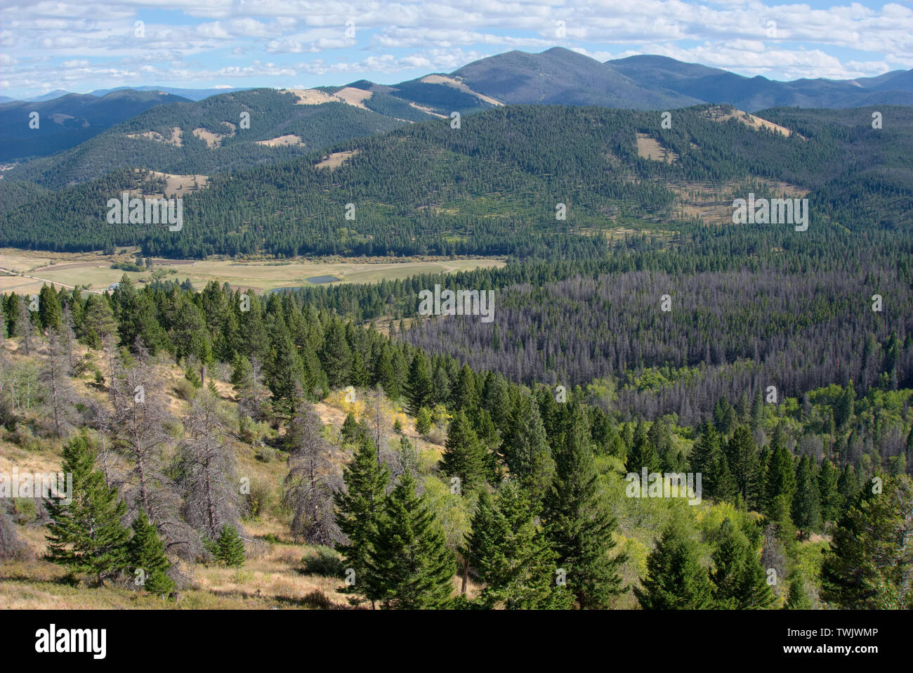 Vue de la Forêt Nationale de Beaverhead-Deerlodge près de Helena Banque D'Images