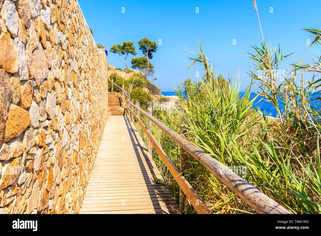 Sentier du littoral le long de la mer bleue, près de Cap Roig, Costa Brava, Espagne Banque D'Images