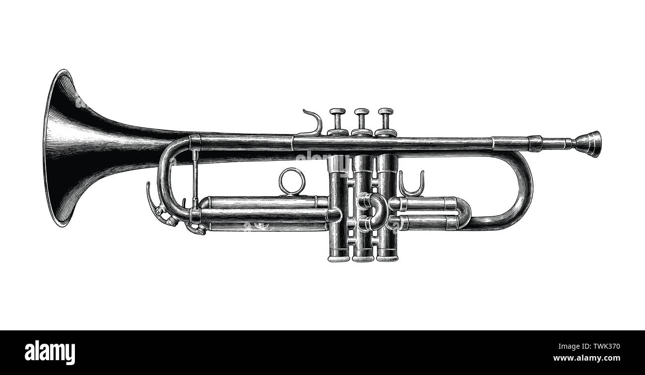 Dessiner à main trompette vintage Style : Noir et blanc clip art isolé sur  fond blanc Image Vectorielle Stock - Alamy