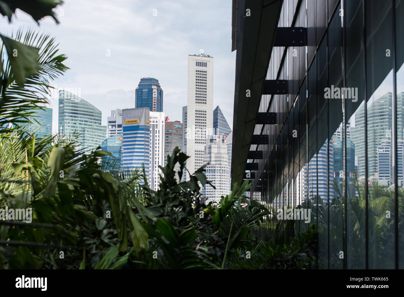Réflexion des gratte-ciel à Singapour. Banque D'Images