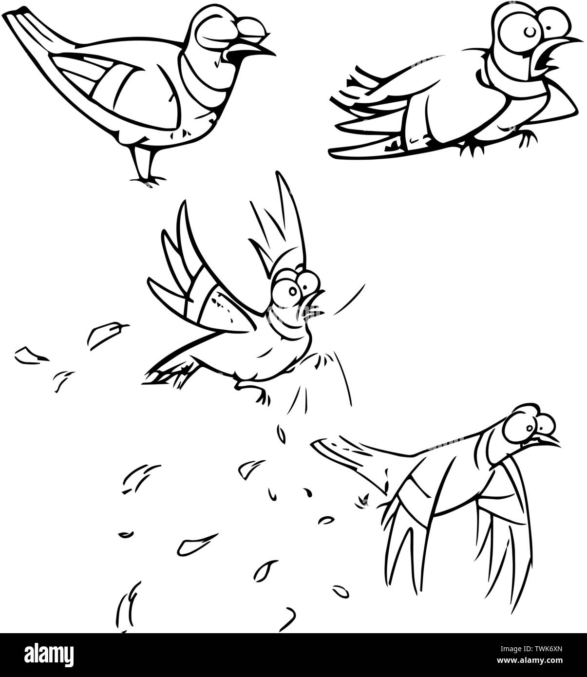 Sur vector illustration funny cartoon oiseau dans diverses poses. Faites un contour noir, dans le style d'un sketch, isolé sur un fond blanc. Illustration de Vecteur