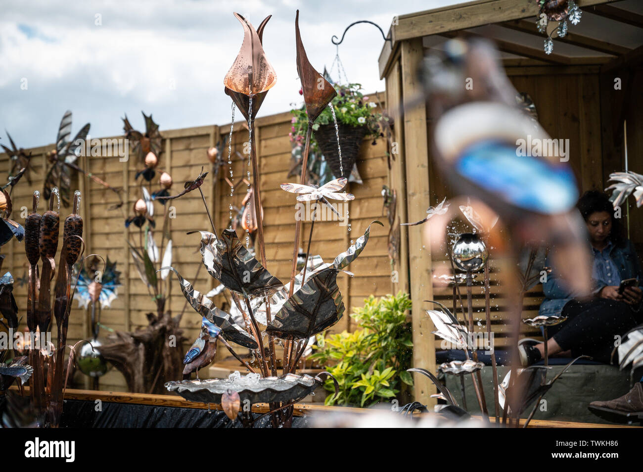 Blenheim Palace, Oxfordshire, UK. Vendredi 21 juin 2019. Affiche à l'exposition florale de Blenheim, qui se déroule du 23 au 21 juin. Andrew Walmsley/Alamy Live News Banque D'Images