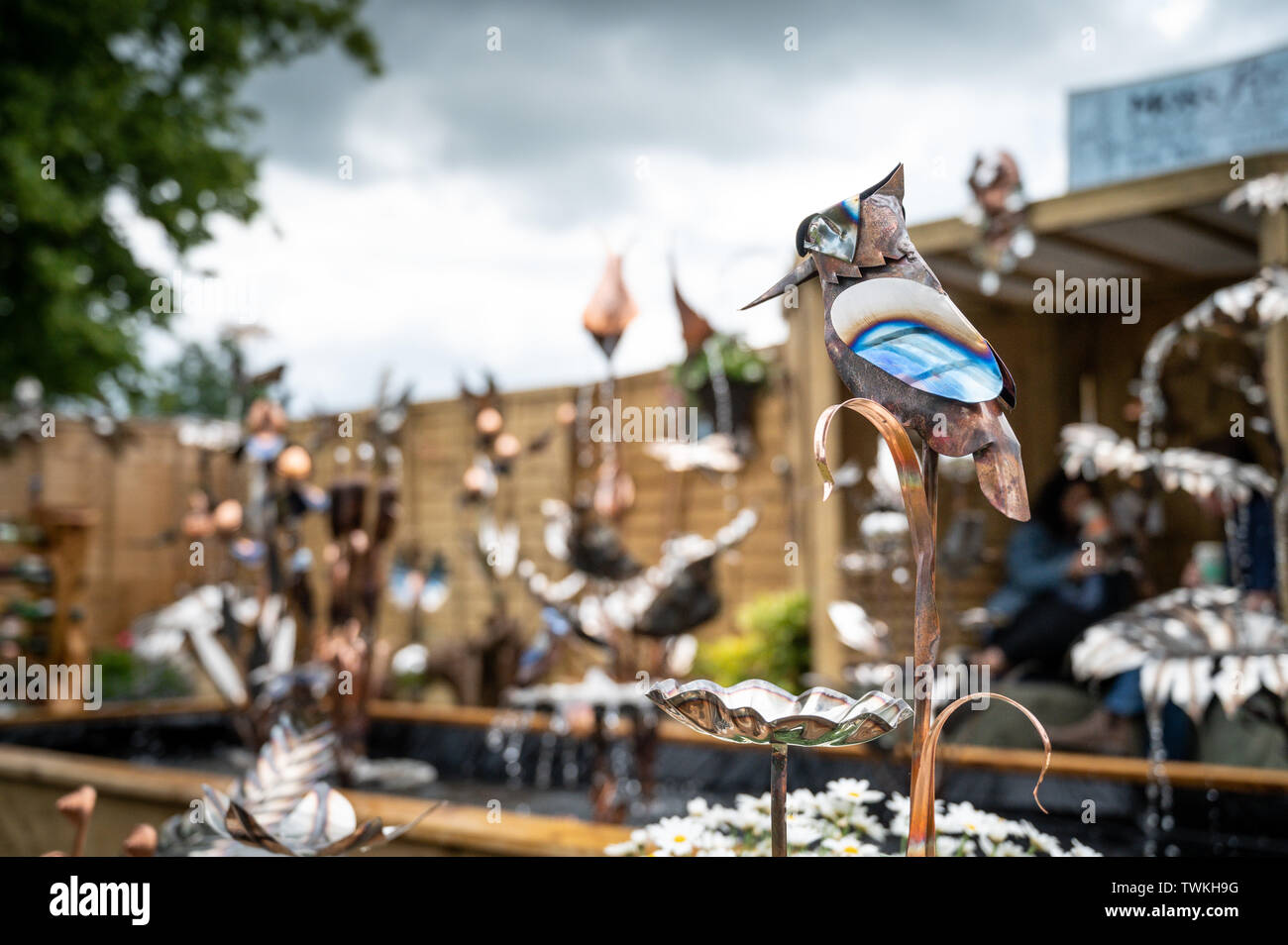 Blenheim Palace, Oxfordshire, UK. Vendredi 21 juin 2019. Affiche à l'exposition florale de Blenheim, qui se déroule du 23 au 21 juin. Andrew Walmsley/Alamy Live News Banque D'Images