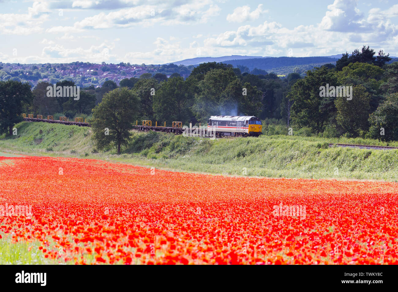 Classe 50 préservés locomotive passant sur la voie de chemin de fer du patrimoine l'été en anglais scène champêtre. UK champ de coquelicots en premier plan. Banque D'Images