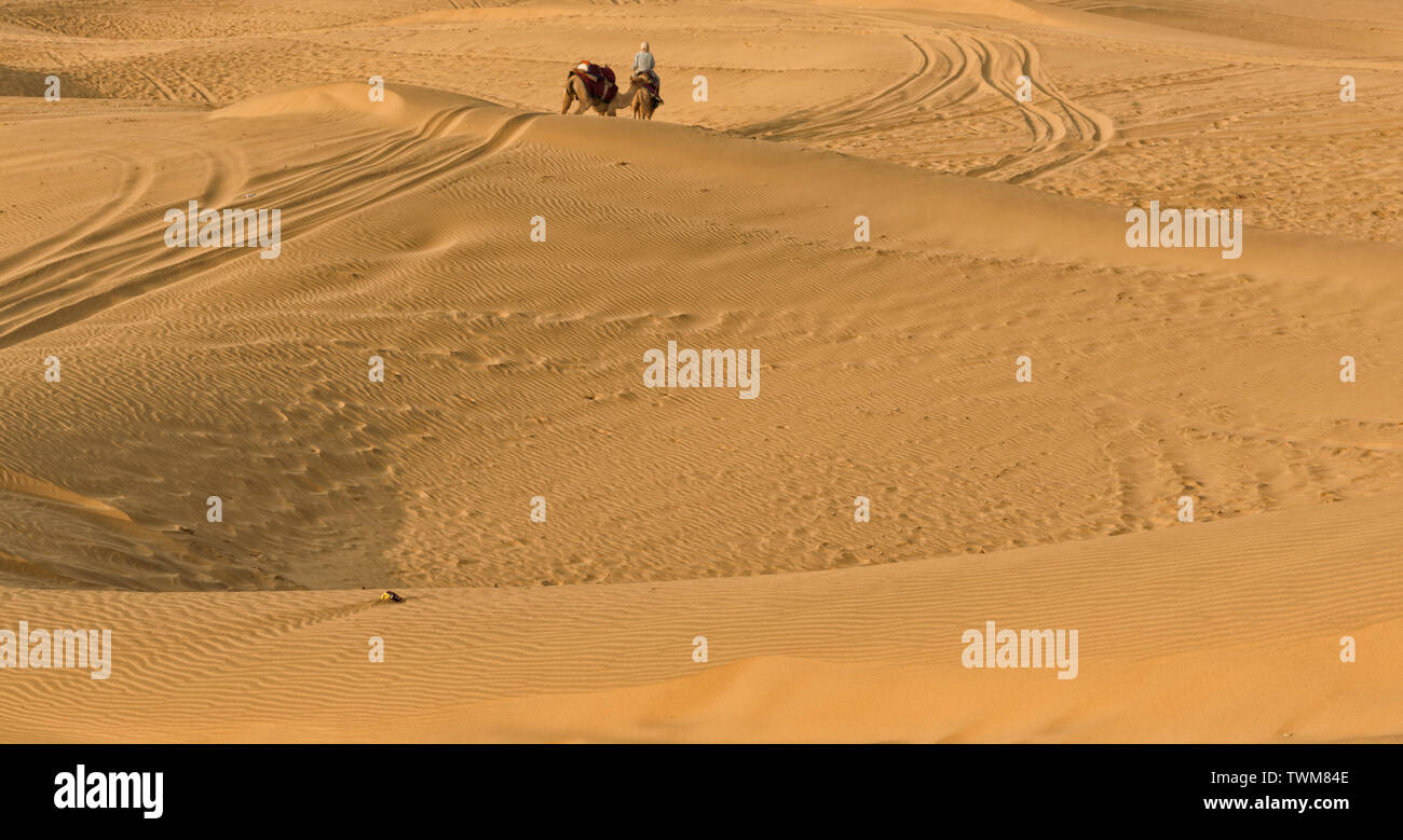 Propriétaire d'un chameau est à la recherche d'un client dans les dunes de sable de Sam, Jaisalmer, Rajasthan, Inde.Ils prennent les gens pour safari dans le désert qui est une grande expérience. Banque D'Images