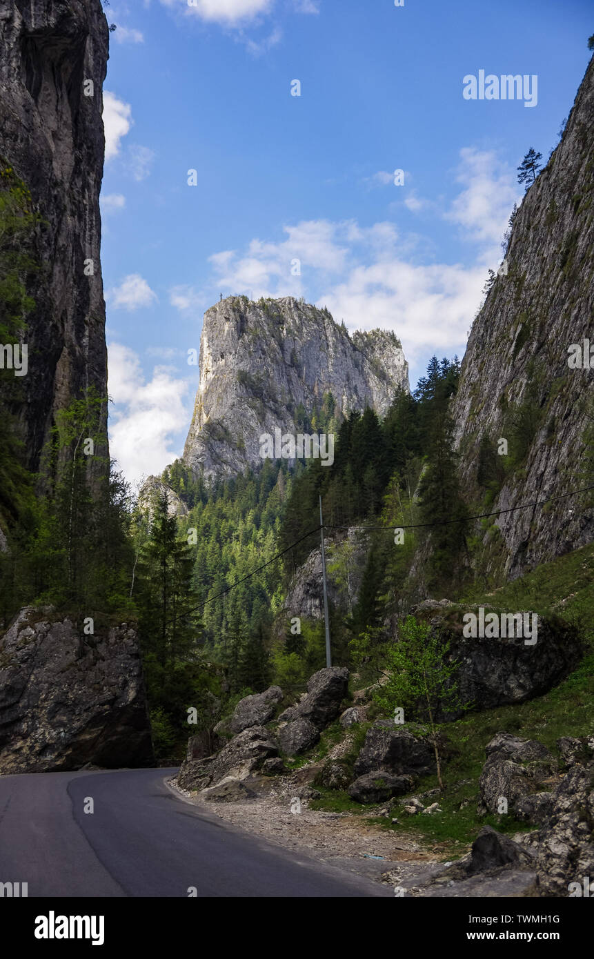 Paysage estival de la célèbre les Gorges de Bicaz (Canyon) dans le comté de Neamt, Roumanie. Banque D'Images