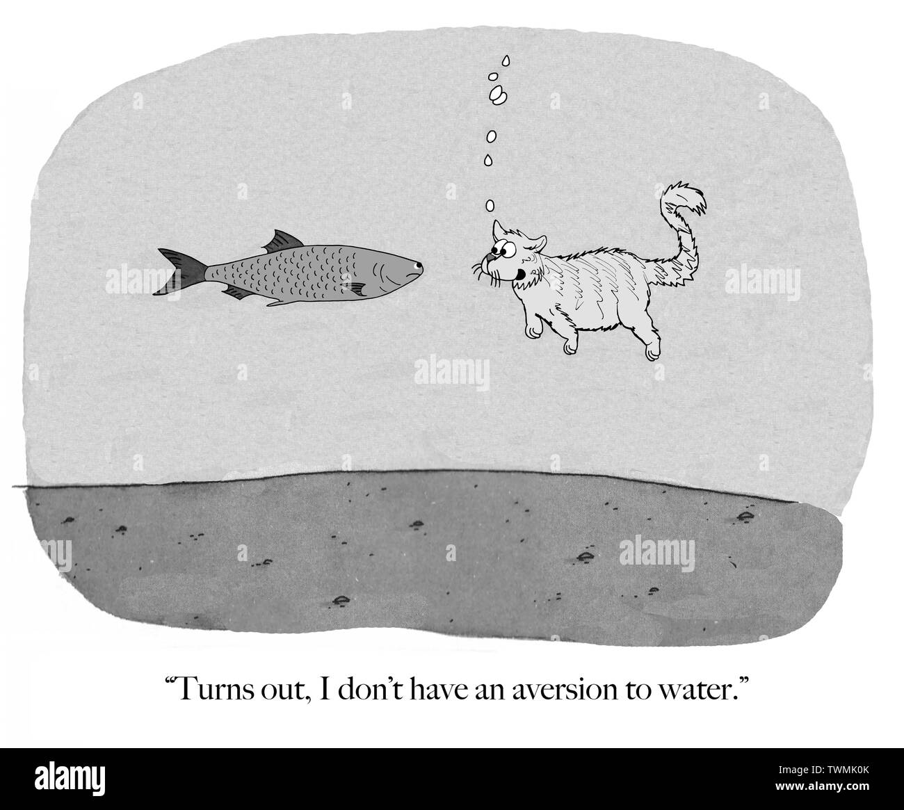 Un chat parle à un poisson sous l'eau. Chat a appris à nager sous l'eau. Banque D'Images