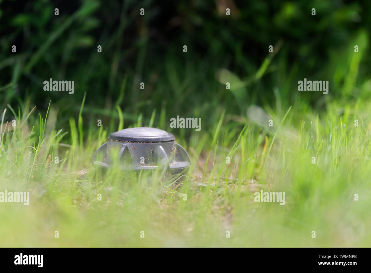Libre d'un sprinkleur jusqu'à une pelouse verte. Hambourg, Allemagne Banque D'Images