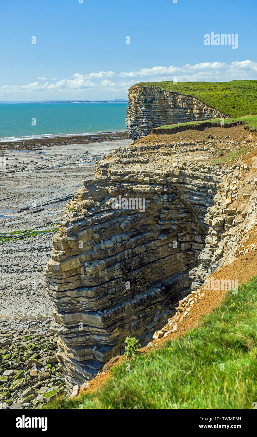 Les falaises de Nash Point sur la côte du Glamorgan en Galles du sud sur une journée ensoleillée en Juin Banque D'Images