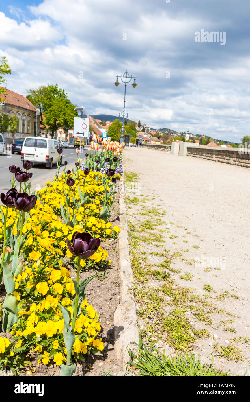 Parterres de tulipes fleurissent au printemps le long du Danube au chemin de Szentendre, Hongrie Banque D'Images
