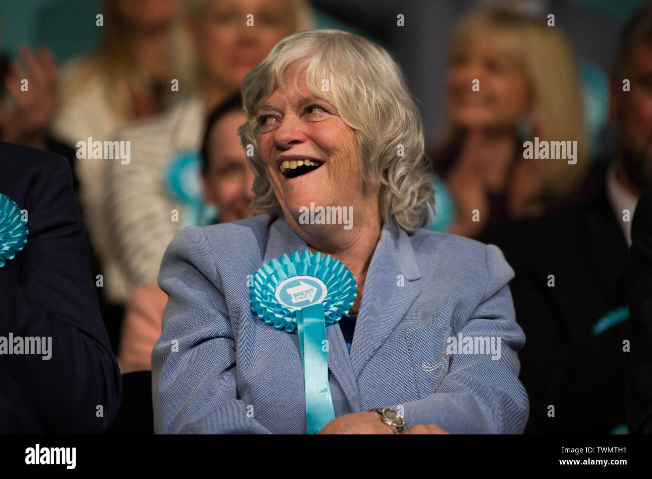 Brexit Partie rallye avec Nigel Farage et Brexit Partie candidats de partout au pays dans les élections européennes, Olympia, Londres avec Ann Widdecombe : où : London, Royaume-Uni Quand : 21 mai 2019 Credit : Wheatley/WENN Banque D'Images