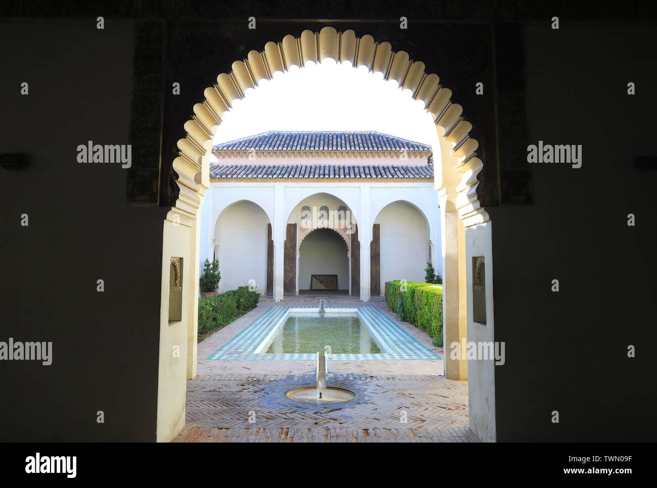 La cour-jardin avec piscine à la citadelle Maure de l'Alcazaba dans la ville de Malaga, en Espagne, en Europe Banque D'Images