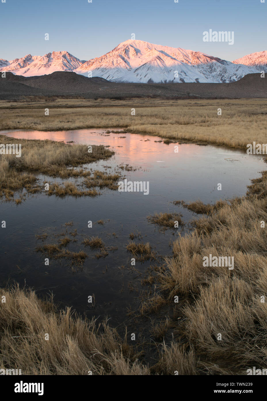 Owens River Eastern Sierra Montagnes, California United States Banque D'Images