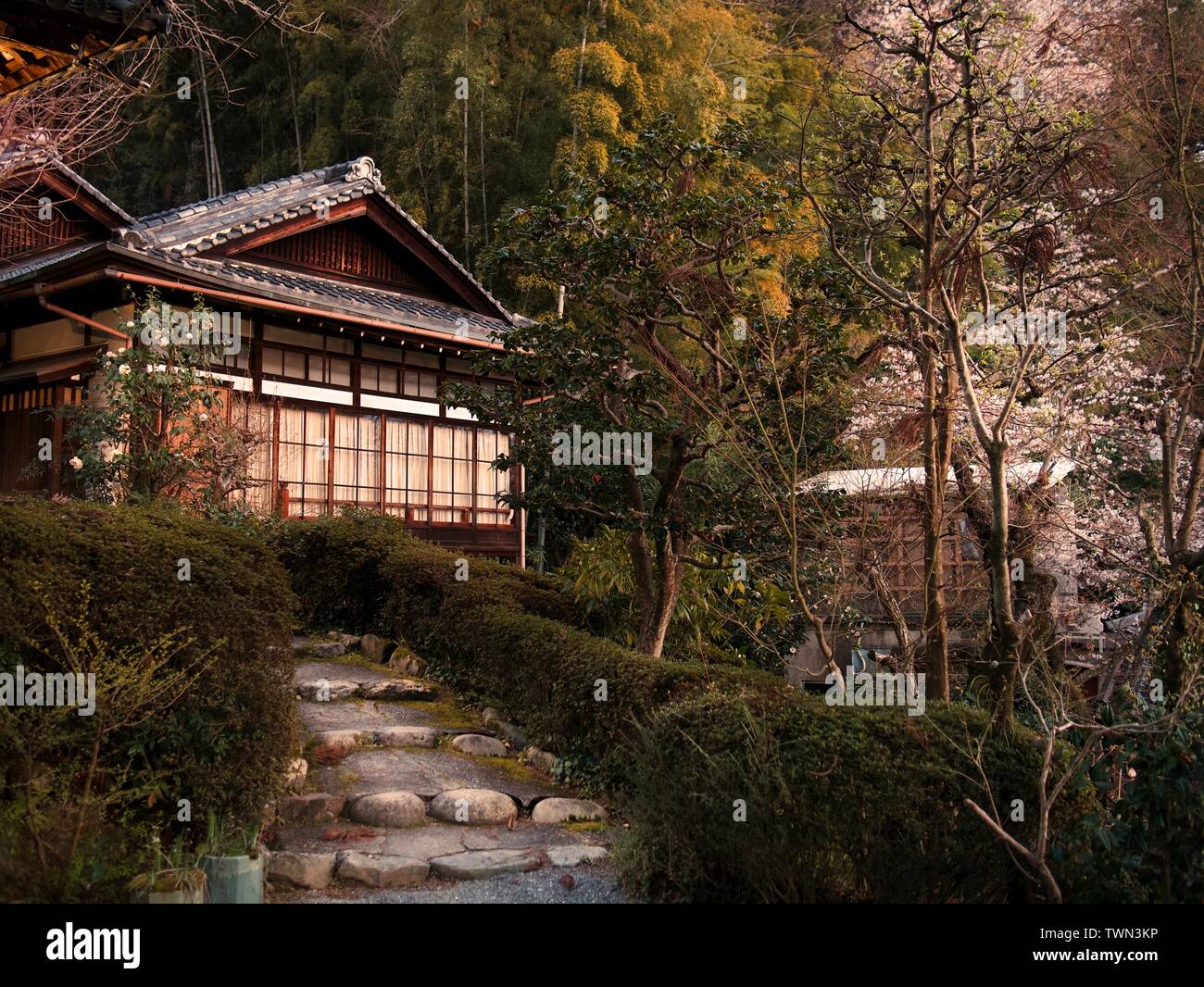 Maison traditionnelle japonaise entourée de feuillage et fleurs de cerisiers ou sakura, Japon Banque D'Images