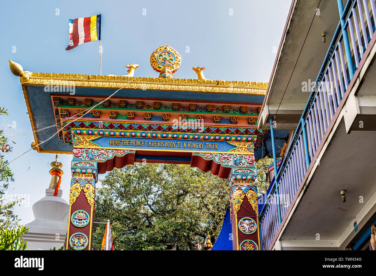 Voir à la monastère Thrangu Tashi Yangtse complexe appelé Namo Buddha monastère au Népal. Construire à l'endroit où le prince a donné son corps à faim Banque D'Images