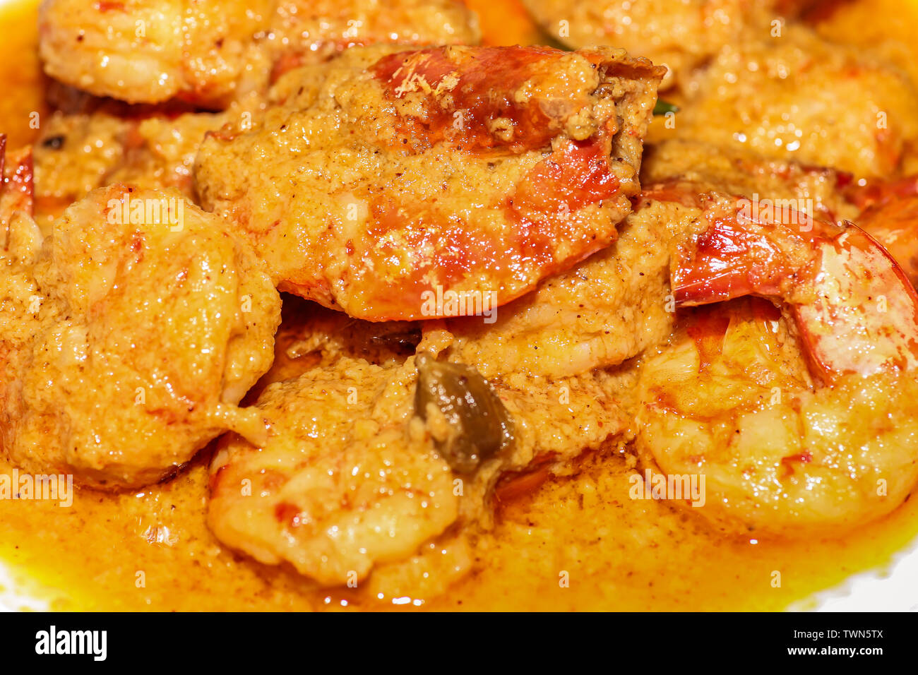 Crevettes épicées indien savoureux (crevette) Aliments préparés en sauce curry servi comme accompagnement dans close up macro-vision Banque D'Images