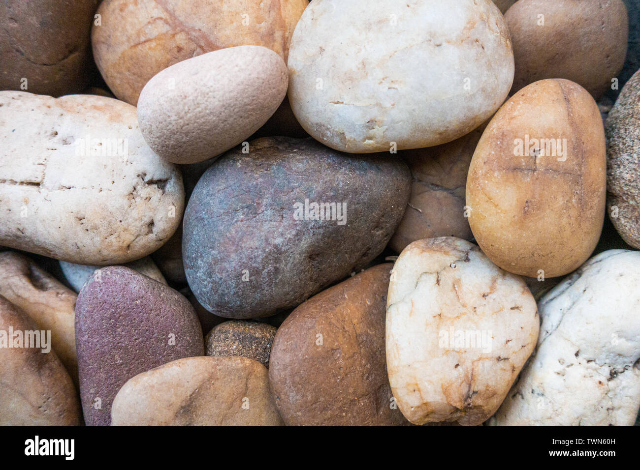 Petit round rock stone plus à la lumière de couleur. Close up. L'arrière-plan. Banque D'Images