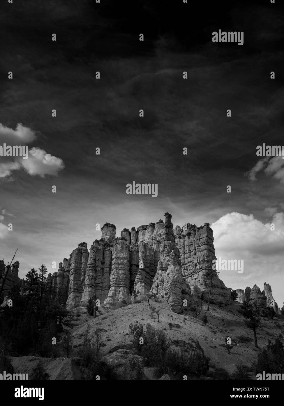 Bryce Canyon National Park, Utah, United States Banque D'Images