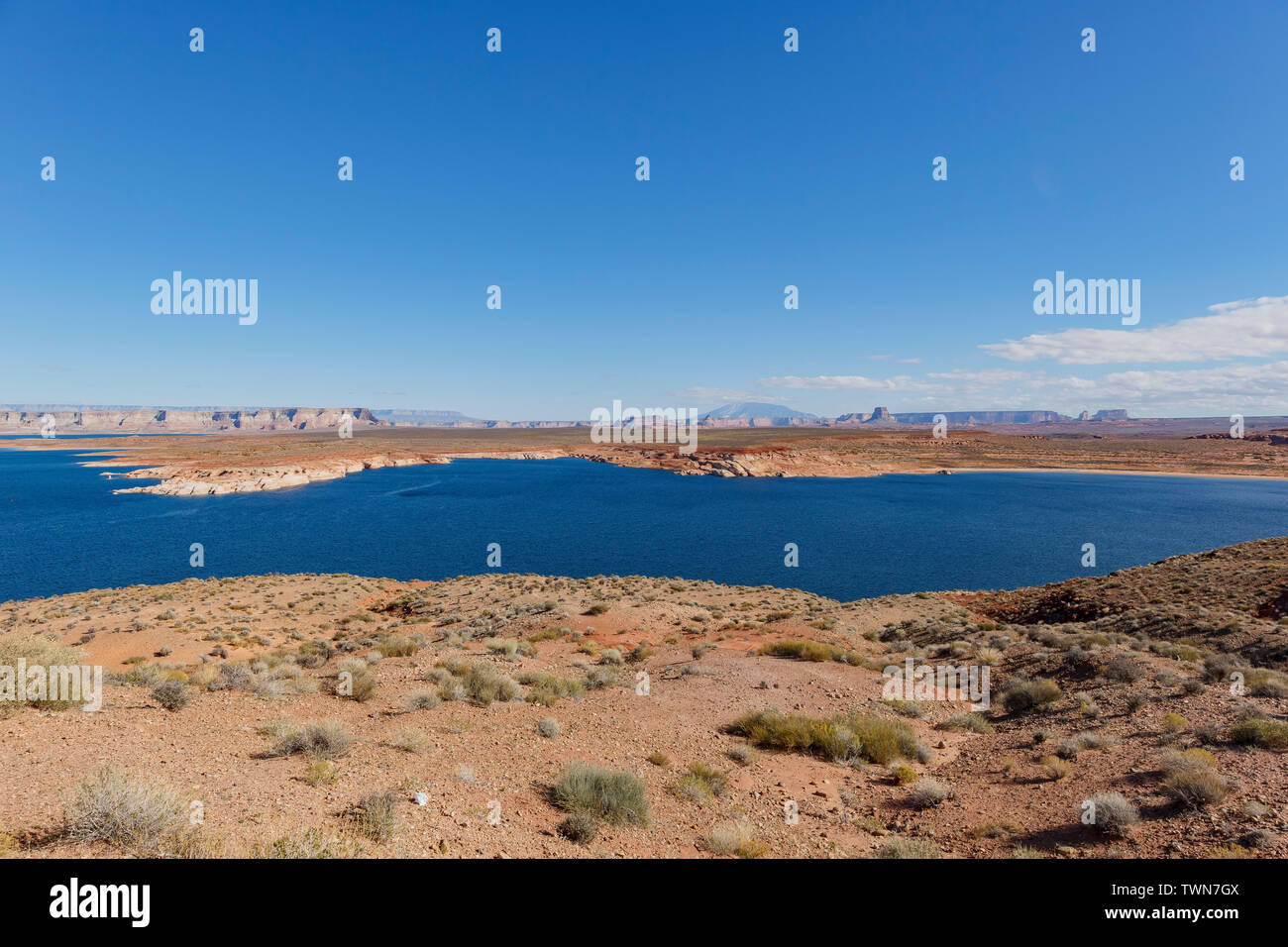 La célèbre autour de Glen Canyon Lake Powell, Page, Arizona Banque D'Images