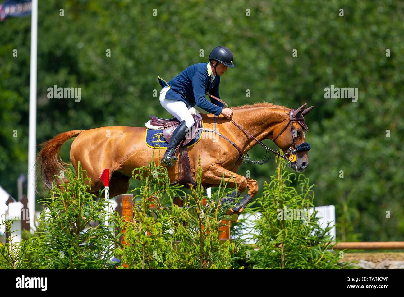 Hickstead, West Sussex, UK. 22 Juin, 2019. Gagnant. Shane Breen équitation Golden Hawk. IRL. Le Derby Loisirs Bunn procès. Le Shira Al'aa Derby Hickstead Réunion. Hickstead. West Sussex. United Kingdom. GBR. 21/06/2019. Credit : Sport en images/Alamy Live News Banque D'Images