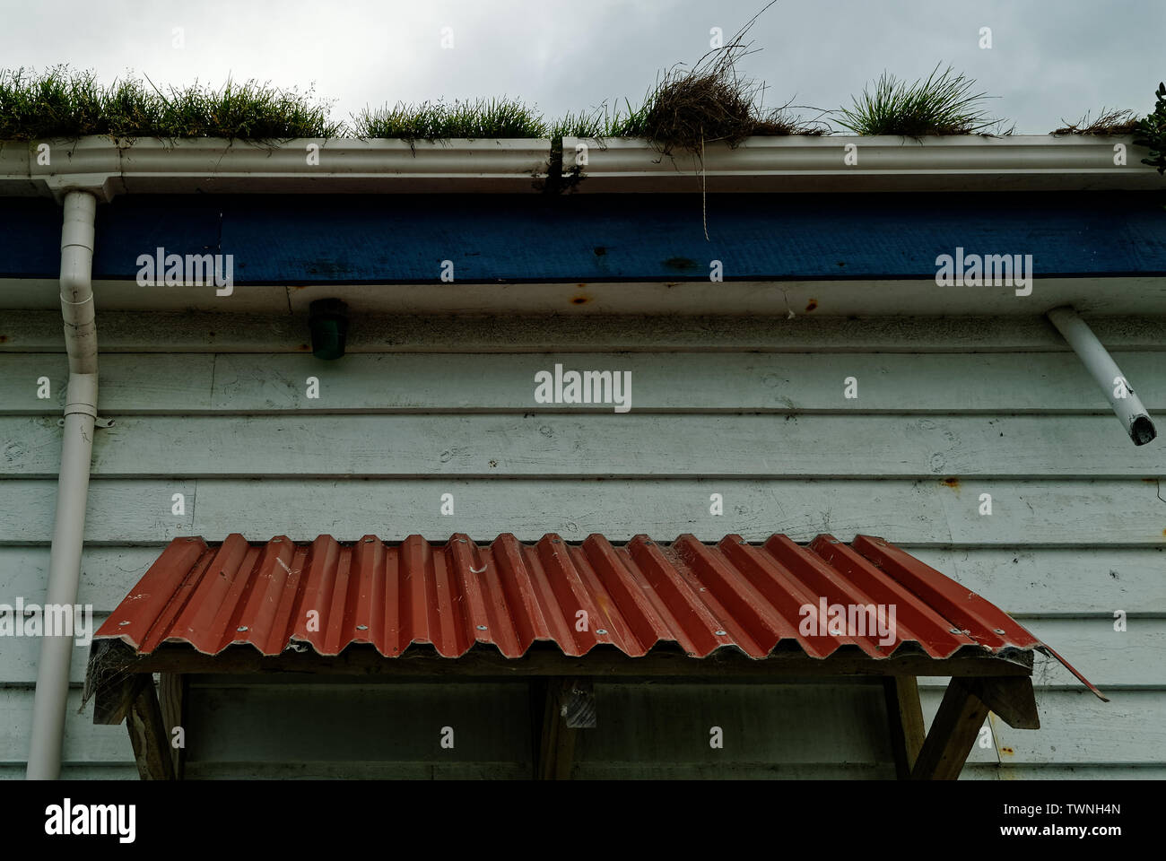 Le temps de faire un peu d'entretien, de l'herbe à la suite des gouttières Banque D'Images
