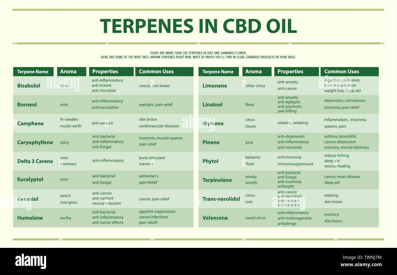 Les terpènes de CBD horizontal illustration infographique de l'huile sur le cannabis comme produits de la médecine alternative, de la santé et des sciences médicales. Illustration de Vecteur