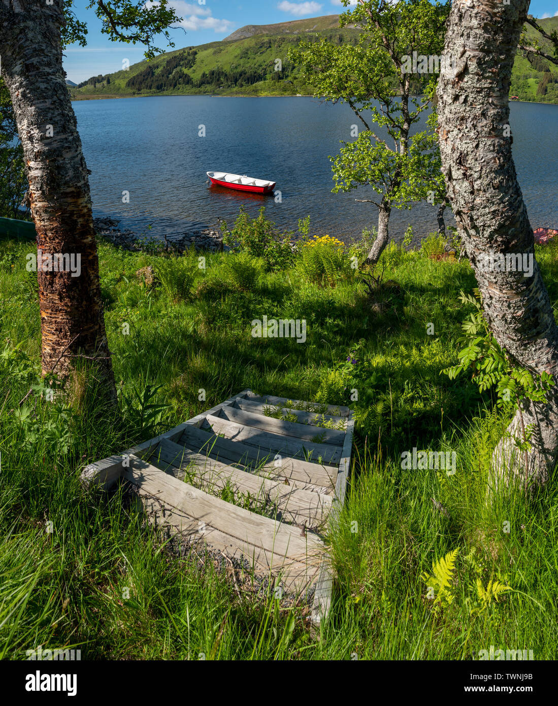 Lac Storvatnet près de Bleik, Andoya, Vesteralen, Norvège Banque D'Images
