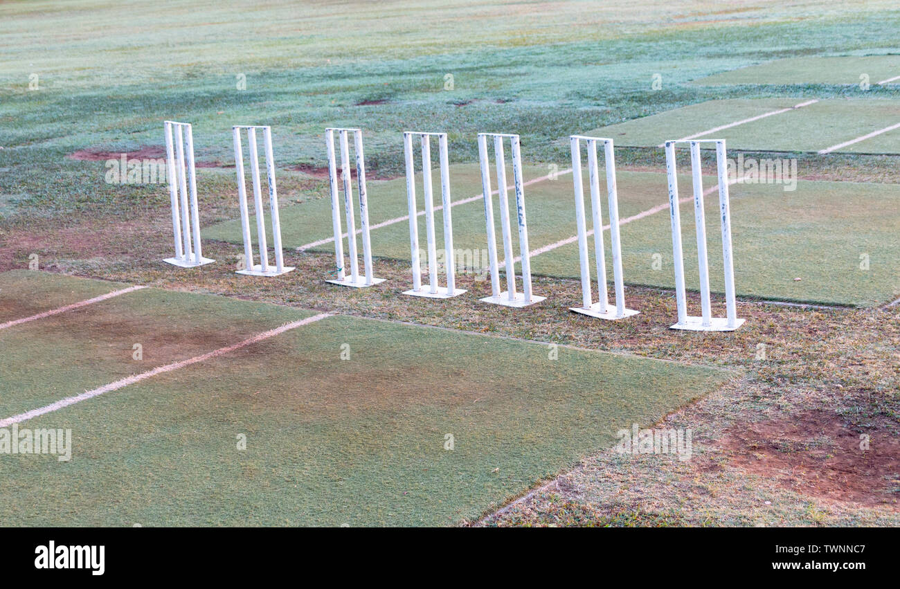 Une vue rapprochée de métal blanc sept guichets cricket tous de suite sur le terrain prêts à exercer Banque D'Images