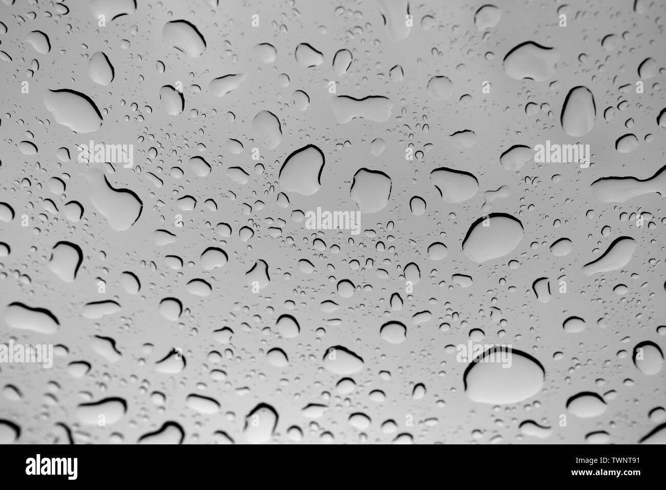 Goutte d'eau sur la vitre après plu Banque D'Images