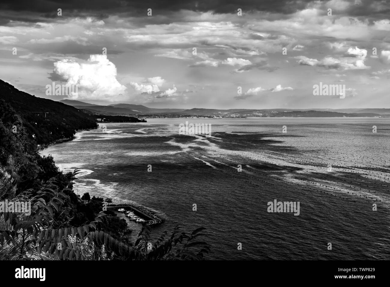 Tempête sur la mer dans le golfe de Trieste, Frioul-Vénétie Julienne, Italie Banque D'Images