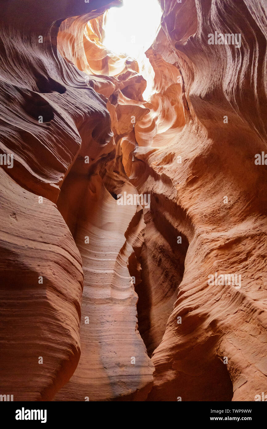 Magnifique paysage autour de la célèbre Antelope Canyon à Page, Arizona X Banque D'Images