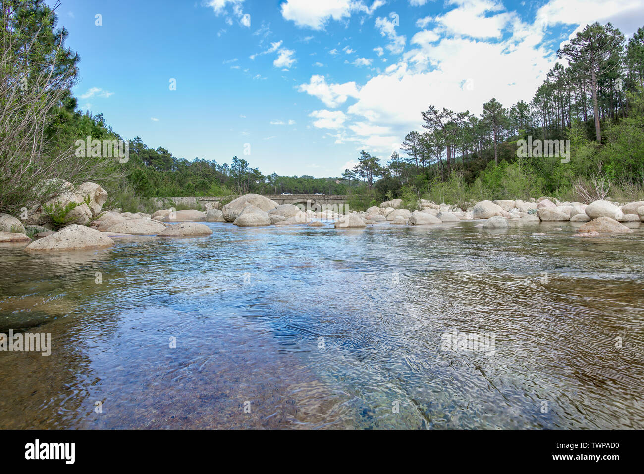 Vue panoramique de pur et d'eau fraîche qui coule de la rivière Solenzara, Corse, France, Europe (Rivière Solenzara) Banque D'Images
