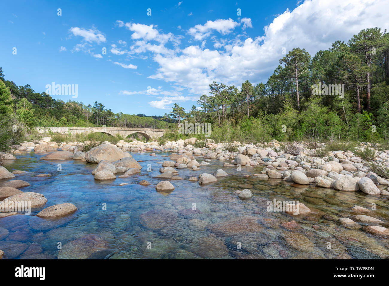 Vue panoramique de pur et d'eau fraîche qui coule de la rivière Solenzara, Corse, France, Europe (Rivière Solenzara) Banque D'Images